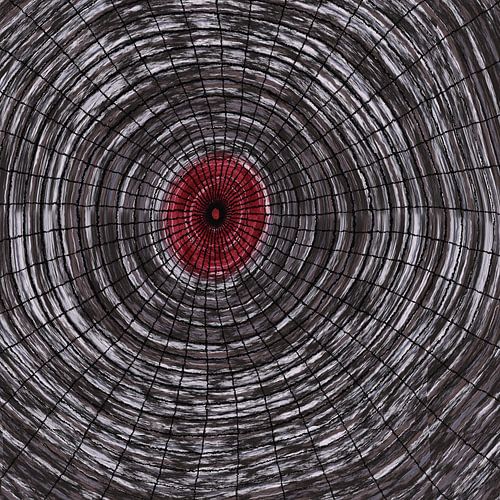 Focus I/III