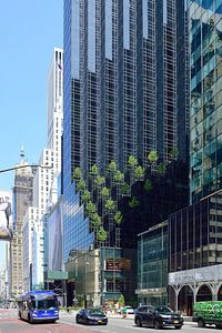 Annäherung an den Trump Tower