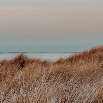 Groede, Wo der Wind flüstert
