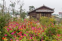 Maison du parc à Wuhan