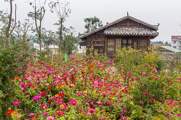 Maison du parc à Wuhan sur didier de borle