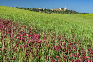 Landschaft um Pienza von Walter G. Allgöwer