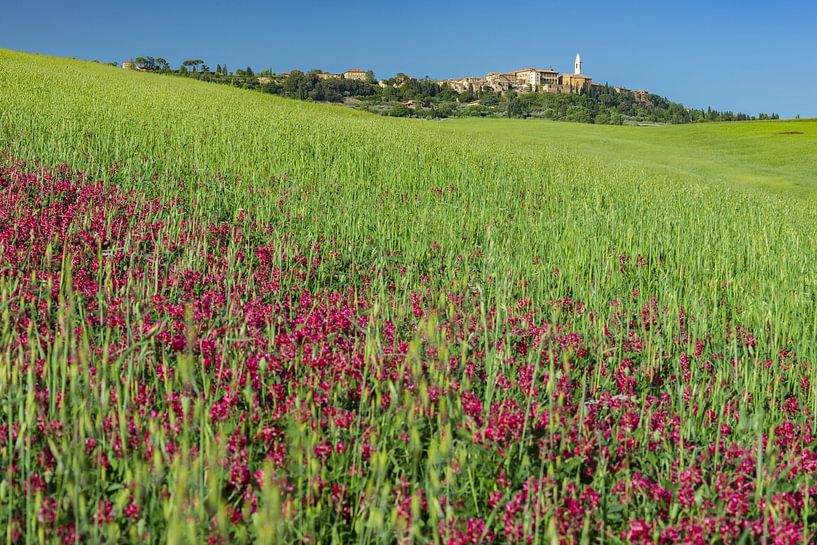 Landschap rond Pienza van Walter G. Allgöwer
