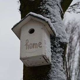 Bird winter house by Sander van Deventer