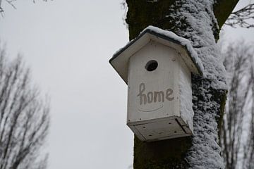 Vogel winter huis van Sander van Deventer