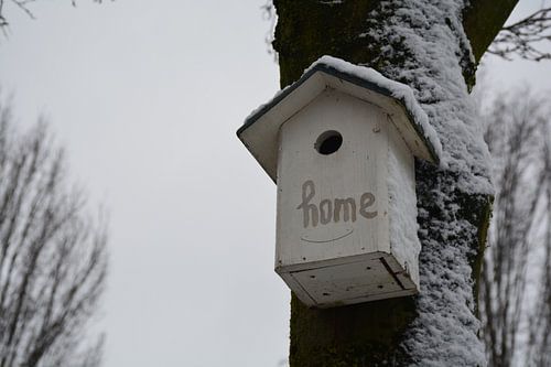 Bird winter house