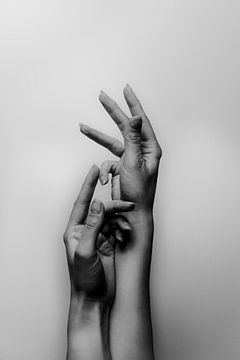 Vrouwelijke handen van Ginkgo Fotografie