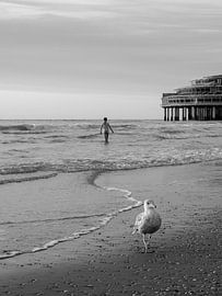 A Summer Evening at Sea pt. 1 by Martijn Jebbink Photography