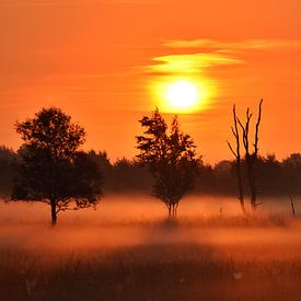 Lever de soleil orange et brumeux en automne sur Stefan Wiebing Photography
