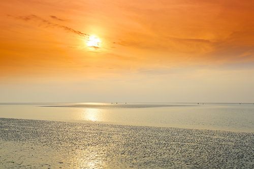 Shining North Sea mudflats by Ursula Reins