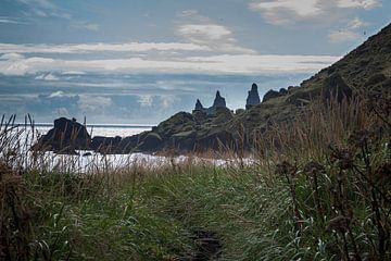 IJsland strand van Thomas Heitz
