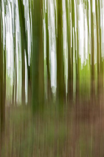 Forêt abstraite par Kris Hermans