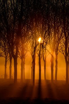 Zonsopkomst van Yvonne van der Meij