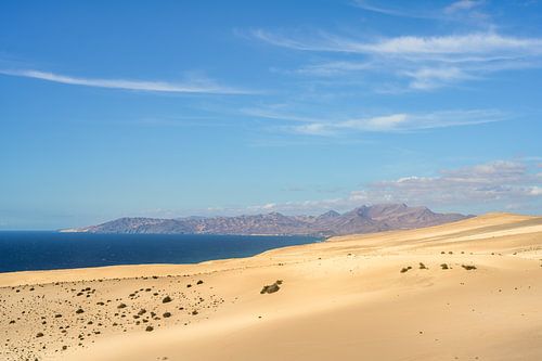 Blick über die Dünen bei Jandía auf Fuerteventura von Michael Valjak