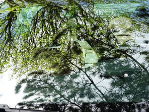 Urban Reflections 63
