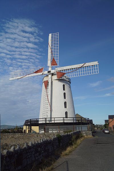 De Blennerville Windmolen van Babetts Bildergalerie