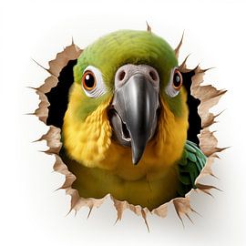 Parrot from the wall by TheXclusive Art
