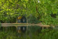 The mysterious little house by the water by Moetwil en van Dijk - Fotografie thumbnail