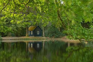 Das geheimnisvolle Haus am Wasser