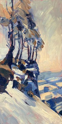 Bomen op de Daölkesberg