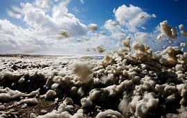 Terschelling von Christiaan Krouwels