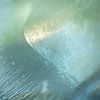 Mysteriöse Blasen im Eis auf dem Weg zum Licht von Wendy van Kuler Fotografie
