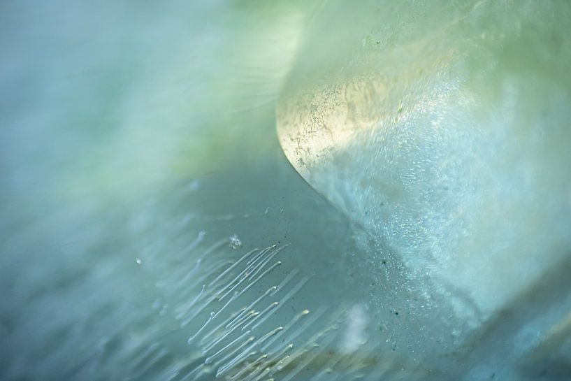 Mysterious bubbles in ice heading towards light by Wendy van Kuler Fotografie