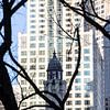 De watertoren van Chicago gezien vanaf de straat door een boom heen in winter van Eric van Nieuwland