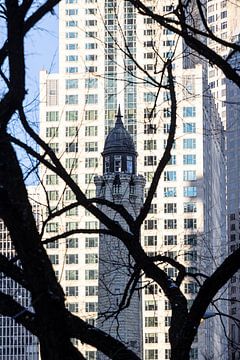 De watertoren van Chicago gezien vanaf de straat door een boom heen in winter