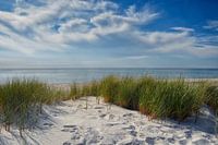 Baltic Sea Dunes
