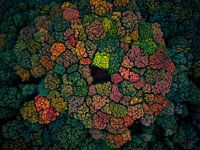 Kleurenpalet van de herfst