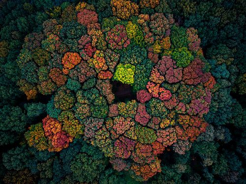 Kleurenpalet van de herfst