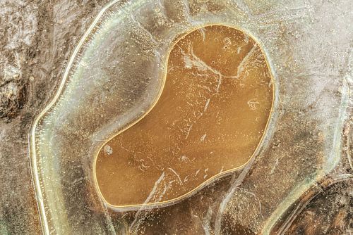 Abstract from Nature #7 brown