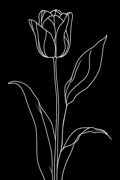 Tulp wit of zwart... van Ans Bastiaanssen