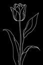 Tulp wit of zwart... van Ans Bastiaanssen thumbnail