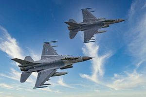 F-16-Kampffalke