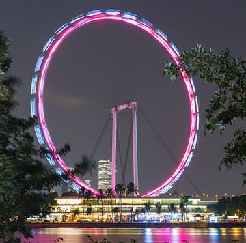 Ferris Wheel Singapore Flyer van Yevgen Belich