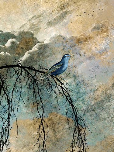 HEAVENLY BIRD IId portret