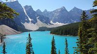 Kanada Moraine Lake