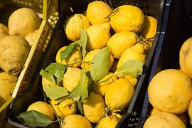 Lemons in a box in a roadside stall in Italy by Esther esbes - kleurrijke reisfotografie