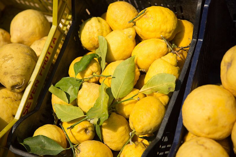 Lemons in a box in a roadside stall in Italy by Esther esbes - kleurrijke reisfotografie