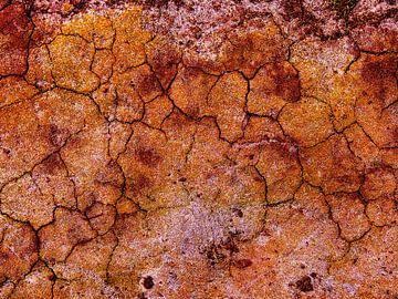 Ground-Floor (Barren soil with cracks) by Caroline Lichthart