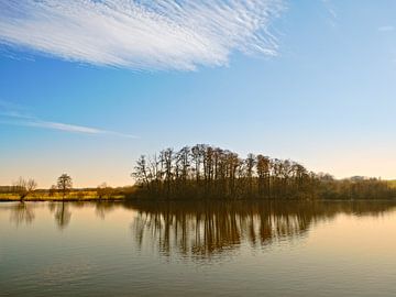 Light and shadow by Roger Trelou