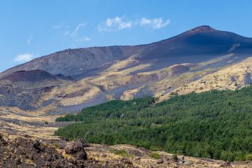 Zicht op de vulkaan Etna in de zomer op Sicilië, Italië van WorldWidePhotoWeb