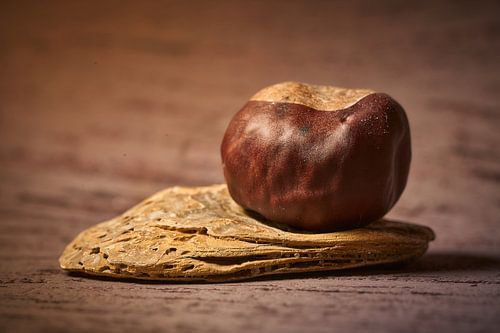 Herfst stilleven ...