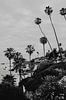 Laguna Beach Californië van Amber den Oudsten thumbnail