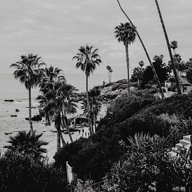 Laguna Beach California by Amber den Oudsten