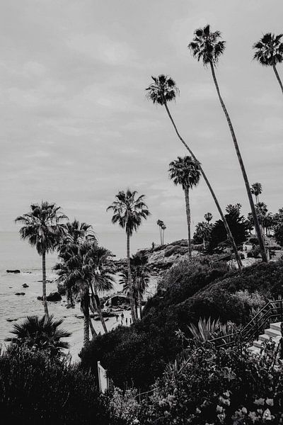 Laguna Beach Californië van Amber den Oudsten