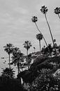 Laguna Beach Kalifornien von Amber den Oudsten Miniaturansicht