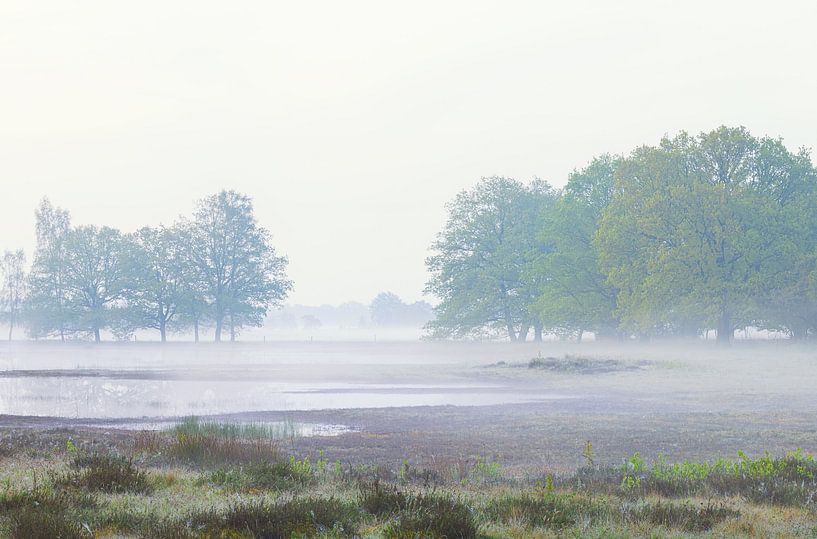 Sunrise Dwingelderveld (Netherlands) by Marcel Kerdijk